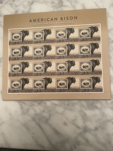 6098 american bison - american,